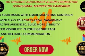 do super fast organic audiomack album promotion using email marketing campaign