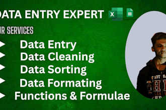 create, clean, and format excel spreadsheets professionally