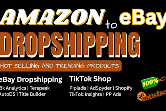 be professional drop shipping expert for ebay