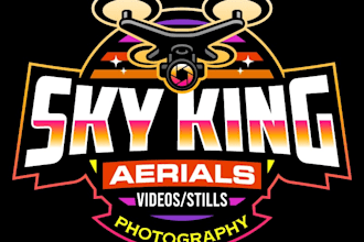 design excellent drone logo for your business