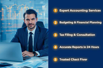 provide expert accounting, budgeting, and tax services as a ca