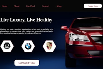 build a premium, luxury and modern wordpress website, do luxury wordpress