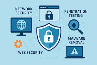 do network security, web, security, penetration testing and malware removal