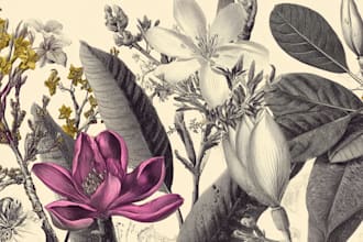 make a beautiful vintage botanical illustration