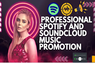 do professional spotify and soundcloud music promotion