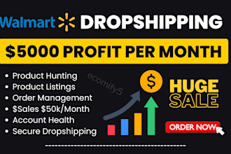 be walmart wfs wholesale expert, walmart 2 step dropshipping va, walmart PPC