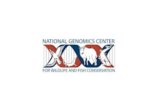 do eye catching a wildlife logo for a conservation genomics