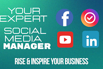 setup and manage facebook ads campaign, fb ads manager, instagram ads, google ad