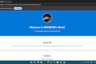 build and test a responsive personal or business website