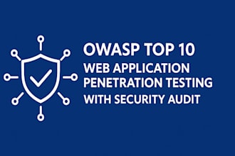 owasp top 10 web application penetration testing with security audit