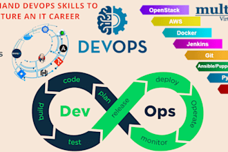 professional web development devops