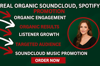 promote soundcloud music, spotify promo and bandcamp music marketing to listener
