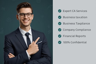 provide professional ca services for companies and business taxation
