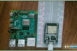 develop stm32 raspberry esp32 project