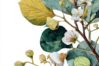 do a watercolor botanical illustration
