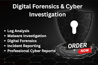 do digital forensics, log analysis, malware analysis and report writing
