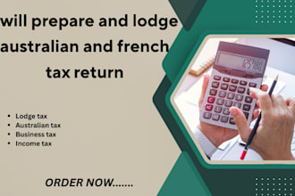 prepare and lodge australian and french tax return