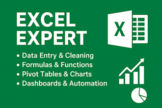 excel data entry, cleaning, and pivot table analysis professionally