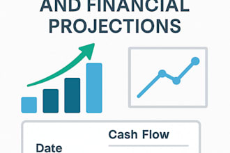 prepare investor ready cash flow pl and financial forecasts