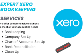 do xero bookkeeping ,clean up,catch up and reconciliation
