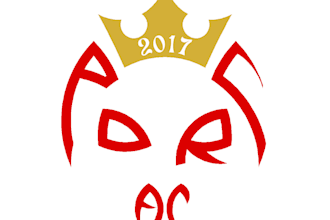 design a professional custom logo for your business or team