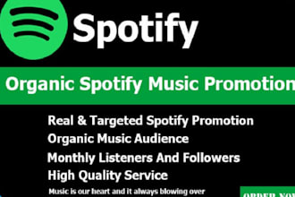 do professional spotify music promotion