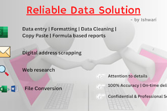 provide fast and reliable data entry services