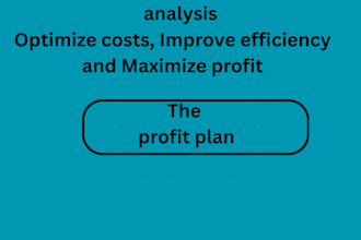 do expert business, cost and performance analysis to drive growth