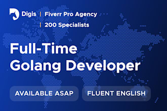 provide a full time golang developer