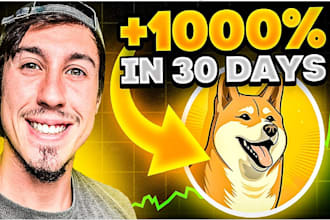 boost solana meme coin promotion, meme coin marketing, crypto twitter promotion