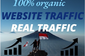 supply organic indonesia traffic to your website, video