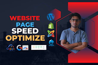 wp speed boost gtmetrix pagespeed insight