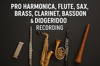 record harmonica, flute, saxophone, brass, clarinet, bassoon, didgeridoo music