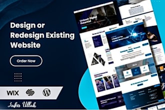 provide professional wordpress and custom web development services