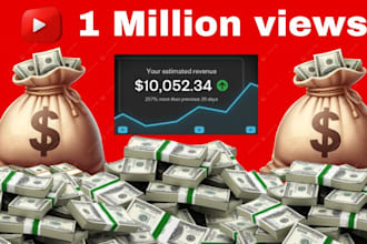 do 1 million views, video promotion, youtube prom otion, organic views for you