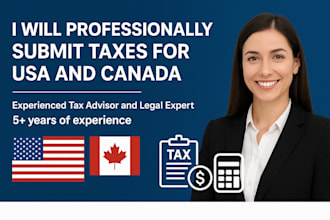 professionally submit taxes for USA and canada