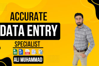 do accurate data entry fast and quickly