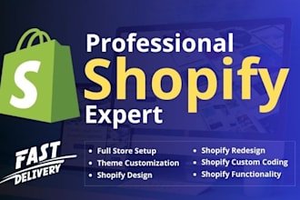 build a professional shopify store