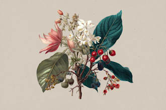 create a beautiful vintage botanical illustration