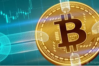 crypto accounting and tax report preparation