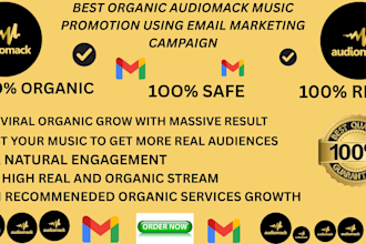 do best organic audiomack music promotion using email marketing campaign
