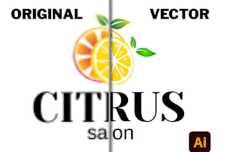 vectorize, clean up, and redraw your logo in high resolution