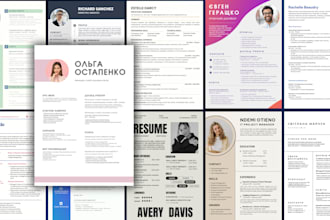 offer a professional resume or cv for your job