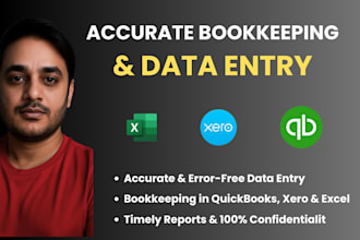 do bookeeping and data entry for you accounting software
