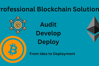 professionally audit and develop solidity smart contracts