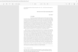 translate english to vietnamese and vietnamese to english professionally