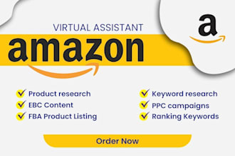 manage your amazon pl account and PPC compaigns