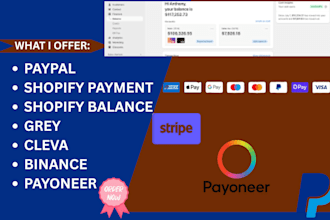 activate shopify payment shopify balance into you shopify store