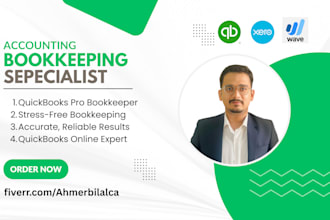 do setup, cleanup and do your bookkeeping in quickbooks, xero, and wave online