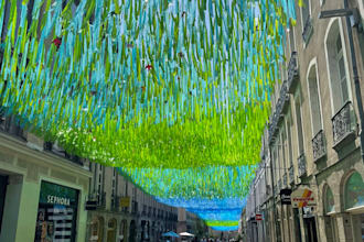 be your local assistant and run errands in rennes france